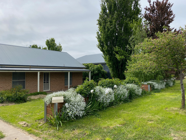 21 Stabback Street, 21 Stabback Street, NSW property photo