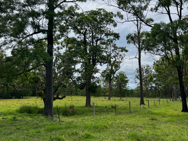 72 Peterson Road, 72 Peterson Road, QLD property photo