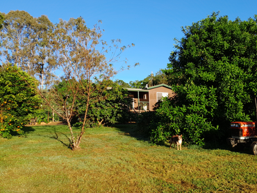 89 Callemonda Road, 89 Callemonda Road, QLD property photo
