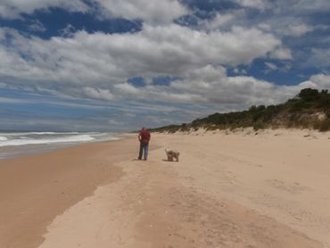 26 Panorama Drive , 26 Panorama Drive , VIC property photo