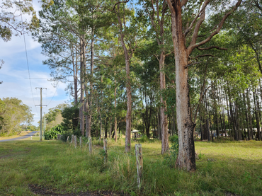 27 Platers Road, 27 Platers Road, NSW property photo