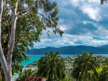 3 Banksia Court, 3 Banksia Court, QLD property photo