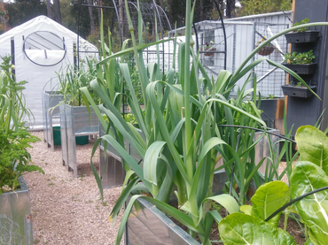 , , TAS property photo