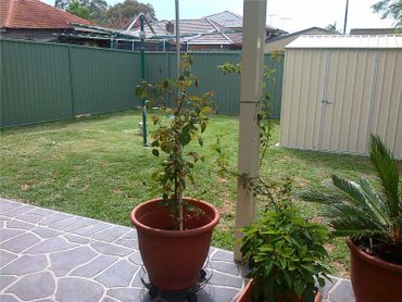 38 Park Rd, 38 Park Rd, NSW property photo