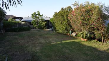 6 Knight Street, 6 Knight Street, WA property photo