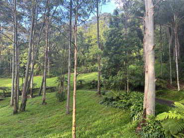 200 Mount Browne Road, 200 Mount Browne Road, NSW property photo