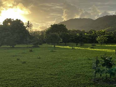 105 Gifford Street, 105 Gifford Street, QLD property photo