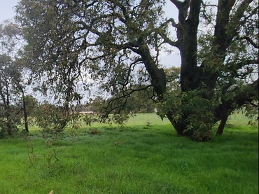 Lot 159 Chuditch Place, Lot 159 Chuditch Place, WA property photo