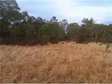 Lot 6 Wallaces Gap Road, Lot 6 Wallaces Gap Road, NSW property photo