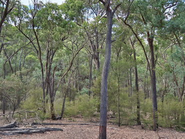 , , VIC property photo