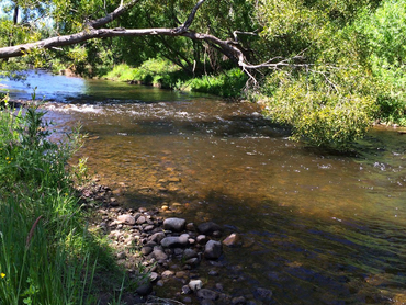 1093 Taggerty-Thornton Road, 1093 Taggerty-Thornton Road, VIC property photo