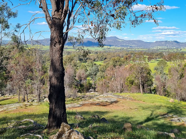 131 Mount Cecelia Road, 131 Mount Cecelia Road, VIC property photo