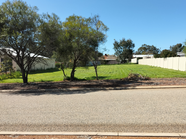 20 Scott Street, 20 Scott Street, WA property photo