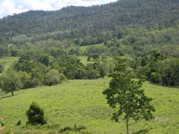 1260 Mount Charlton Road, 1260 Mount Charlton Road, QLD property photo